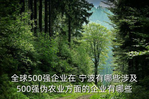 寧波紡織進出口非洲