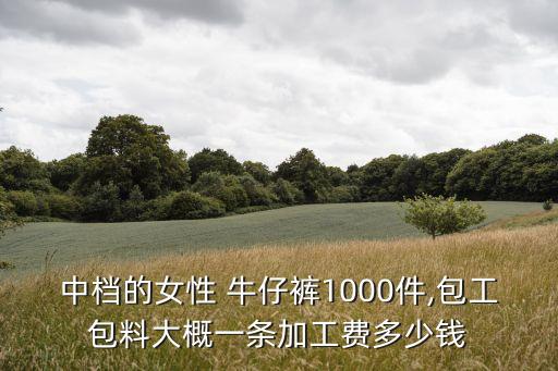 牛仔褲面料價格
