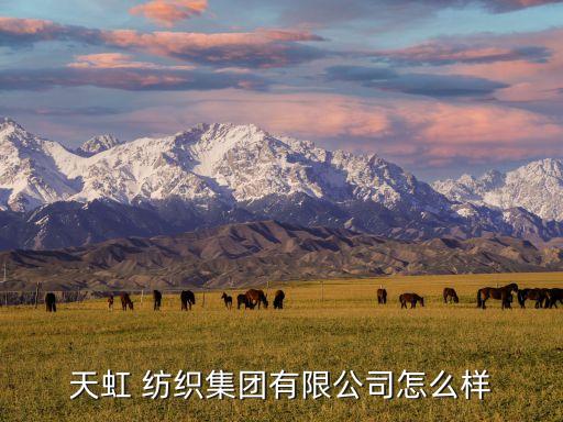 天虹 紡織集團(tuán)有限公司怎么樣