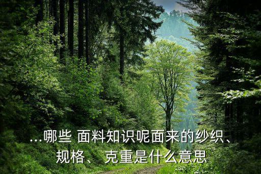 ...哪些 面料知識呢面來的紗織、 規(guī)格、 克重是什么意思