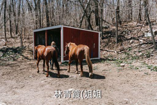 德國紡織公司,佛山紡織公司前十名
