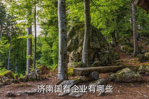 濟南國有企業(yè)有哪些