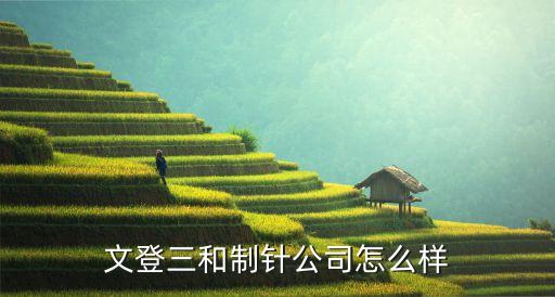 文登三和制針公司怎么樣