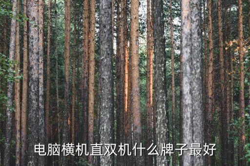 電腦橫機(jī)直雙機(jī)什么牌子最好