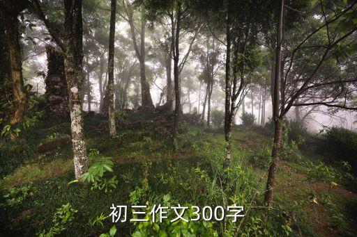 紡織廠的文章,關(guān)于紡織廠安全的文章