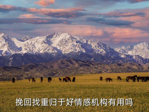 豐易紡織有限公司,吳江市麟易紡織有限公司