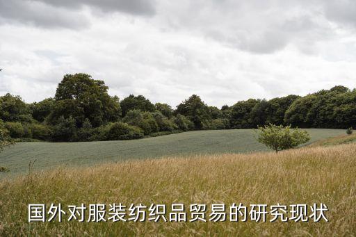國外對服裝紡織品貿(mào)易的研究現(xiàn)狀