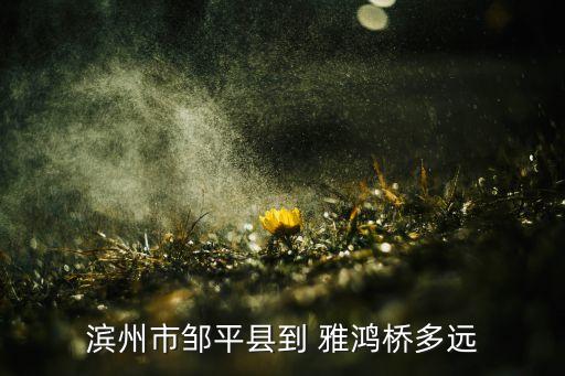 雅鴻紡織有限公司,海寧市雅藝紡織有限公司