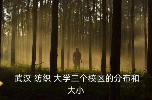  武漢 紡織 大學(xué)三個(gè)校區(qū)的分布和大小