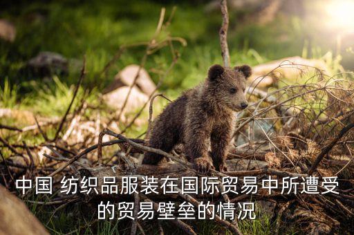 中國(guó) 紡織品服裝在國(guó)際貿(mào)易中所遭受的貿(mào)易壁壘的情況