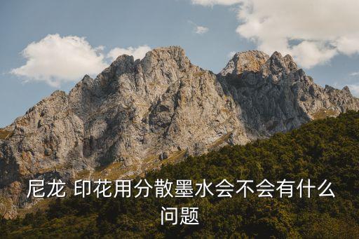  尼龍 印花用分散墨水會(huì)不會(huì)有什么問(wèn)題