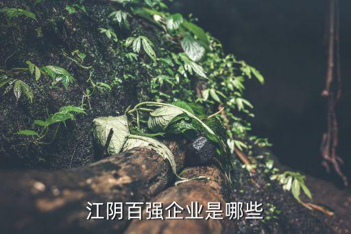 江陰百?gòu)?qiáng)企業(yè)是哪些