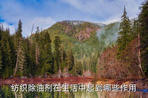 面料助劑 A油是什么,真絲油絲是什么面料