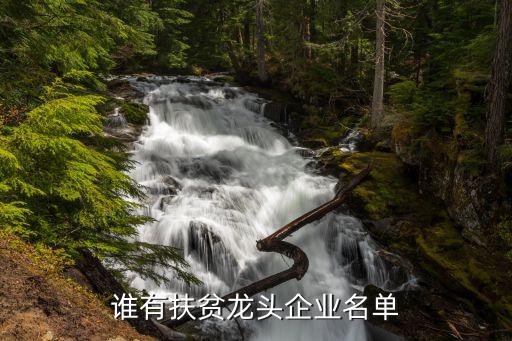 宜昌雙弘科技有限公司,宜昌華昊新材料科技有限公司
