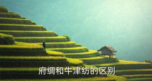 府綢面料的好嗎,全棉府綢是什么面料