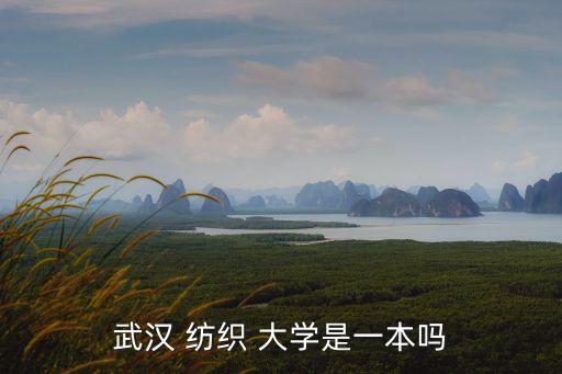 武漢 紡織 大學是一本嗎
