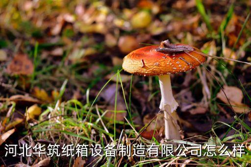 河北華筑紙箱設(shè)備制造有限公司怎么樣