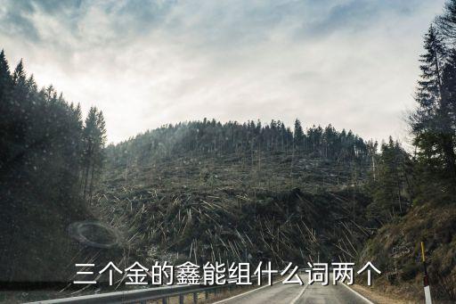 湖南鑫達(dá)紡織,新鄉(xiāng)市鑫達(dá)紡織配件