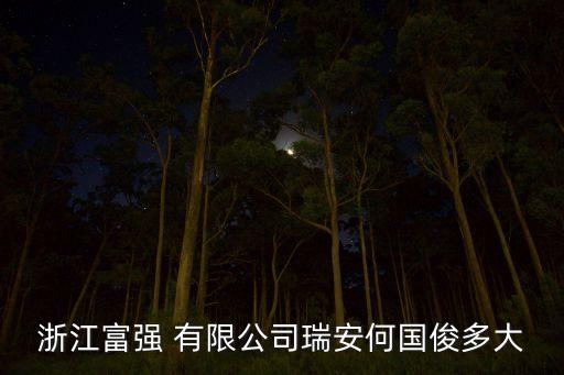 紹興縣愛利斯紡織染整有限公司,浙江愛利斯染整有限公司董事長