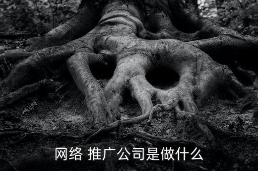 紡織網(wǎng)站的推廣軟文,網(wǎng)站軟文推廣價(jià)格