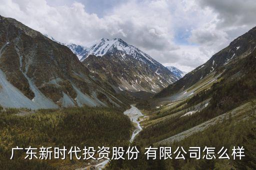 廣東新時(shí)代投資股份 有限公司怎么樣
