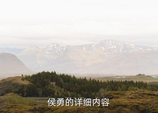 侯勇的詳細內容