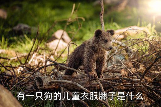 惠安縣大林鞋服有限公司