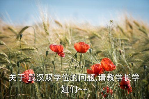 武漢紡織大學報銷單