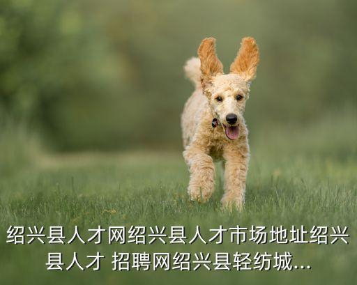 紹興縣人才網(wǎng)紹興縣人才市場地址紹興縣人才 招聘網(wǎng)紹興縣輕紡城...