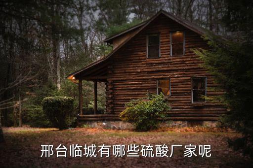 邢臺(tái)臨城有哪些硫酸廠家呢