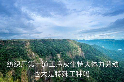  紡織廠第一道工序灰塵特大體力勞動(dòng)也大是特殊工種嗎