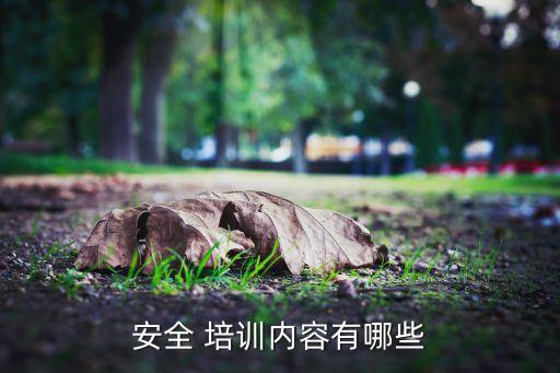 安全 培訓內(nèi)容有哪些