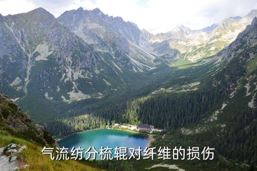 氣流紡分梳輥對纖維的損傷