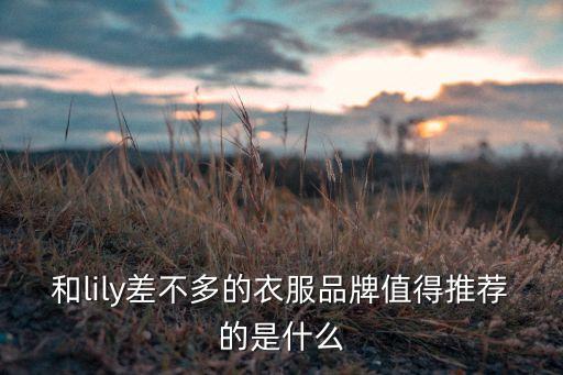 和lily差不多的衣服品牌值得推薦的是什么