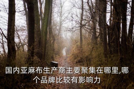 國(guó)內(nèi)亞麻布生產(chǎn)商主要聚集在哪里,哪個(gè)品牌比較有影響力