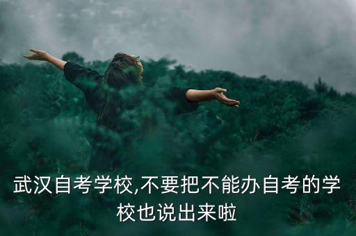 武漢自考學(xué)校,不要把不能辦自考的學(xué)校也說出來啦