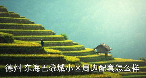 德州 東海巴黎城小區(qū)周邊配套怎么樣