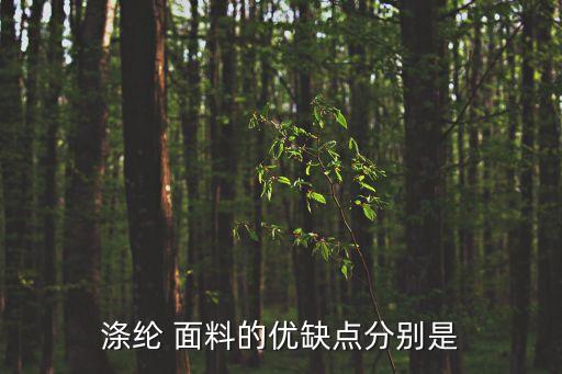 滌綸 面料的優(yōu)缺點分別是