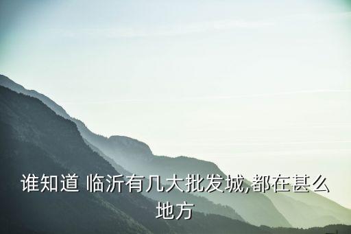 臨沂紡織品市場(chǎng)