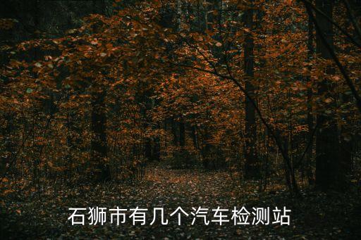 石獅市有幾個(gè)汽車檢測站
