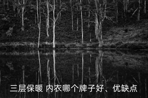 三層保暖 內(nèi)衣哪個(gè)牌子好、優(yōu)缺點(diǎn)