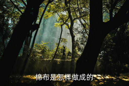 棉布是怎樣做成的