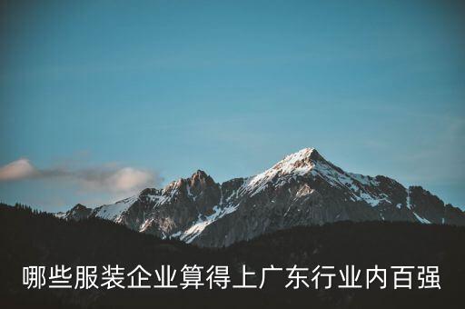 哪些服裝企業(yè)算得上廣東行業(yè)內(nèi)百強