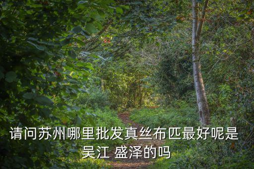 請(qǐng)問(wèn)蘇州哪里批發(fā)真絲布匹最好呢是 吳江 盛澤的嗎