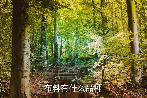 布的面料,看起來像皮其實(shí)是布的面料