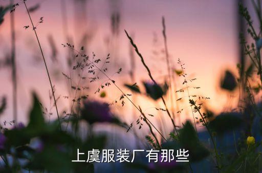 上虞服裝廠有那些