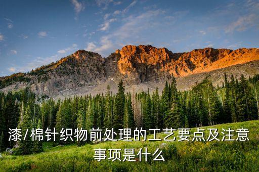 漆/棉針織物前處理的工藝要點(diǎn)及注意事項(xiàng)是什么
