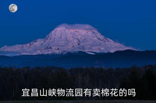  宜昌山峽物流園有賣棉花的嗎