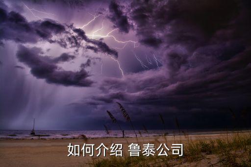如何介紹 魯泰公司