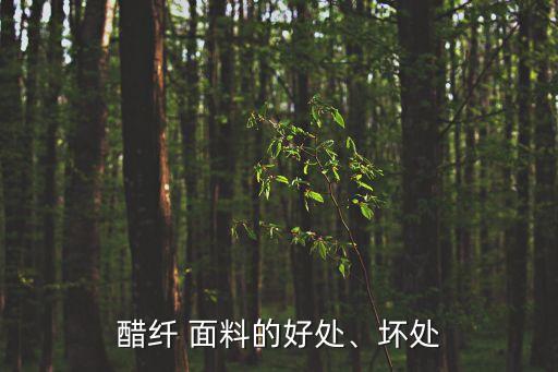 醋纖 面料的好處、壞處
